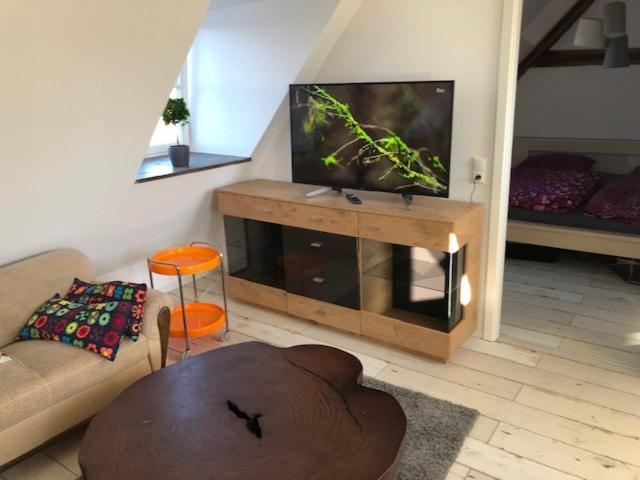 Schloss Lelkendorf Apartment Ulrichshusen Maisonette Fewo Mecklenburger Seenplatte Mit Dachterrasse Naehe Ostsee Eksteriør billede